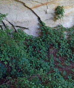 b7178f499f42f78afba2428e4520c04b