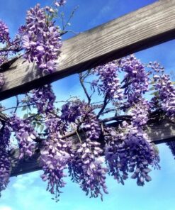 c08dba271609612541fe2bf2ab114c4d