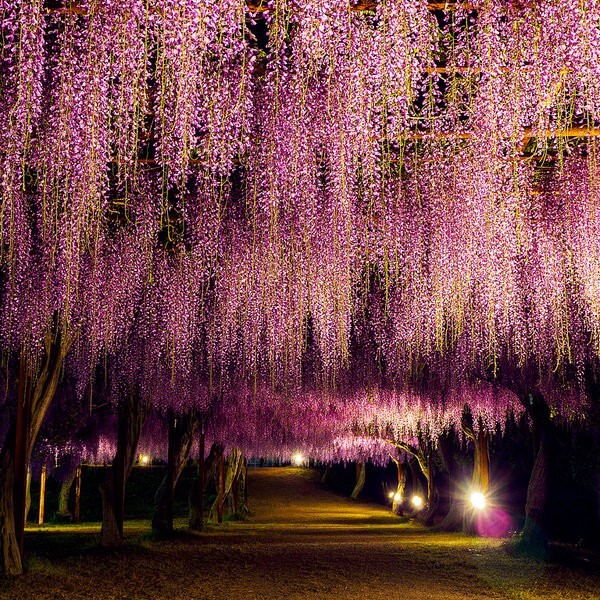 8a474f591fb1f7c5cd511569a11cd074