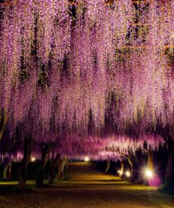 8a474f591fb1f7c5cd511569a11cd074