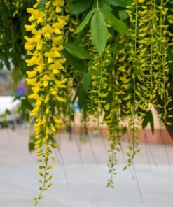 4acff3ef9d5014ba4b32519ba0c5d67f