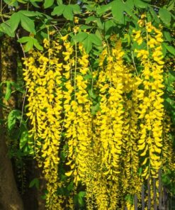 f21ec244d6b5950d03ea282942f078f8