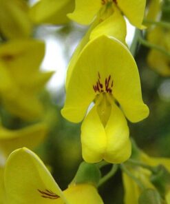 3ac8af97d5abc9baf77d80e79dcdb69f