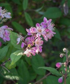 d4c43c497862140f2976b68b1ba46c17