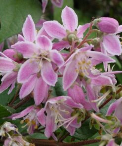 39015d01ad58eefb34c4261cde7b0887