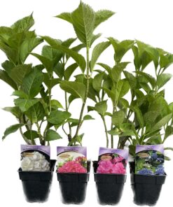 1e319dcc4cdfc973a42e2452748dbc4b