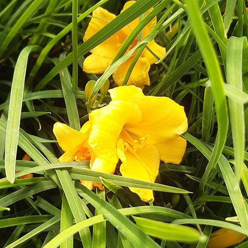 548110b2e96094a10c91155b9a0e8db4