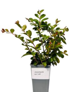 5c9cf72d235e7fcd1b900ffd261d9214