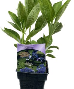 30627261992b7fbea7cca5292ef9187f