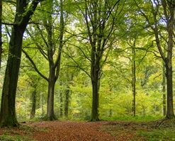 6c18719bf286e37874efcec12563dc0a