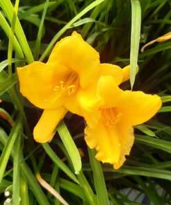 e680b368706482974a01030d31211600