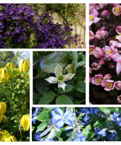 f3f1d57ce94f468bea33a43a47cb8b84