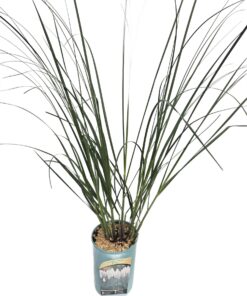 fbfeaf9967548fa1b04fae73d4be0288