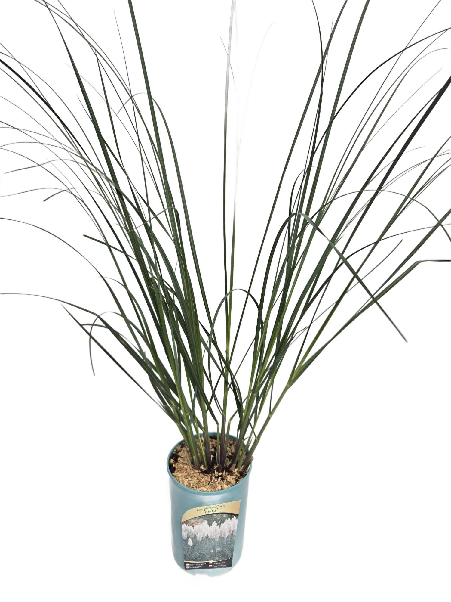 fbfeaf9967548fa1b04fae73d4be0288