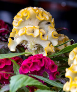 65d38bea420055b4d6d38880d5e350da