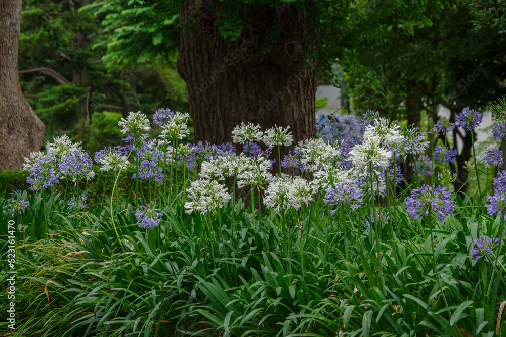 6c733df21e44023db397bd7831f3b9a2