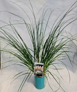 768a49740fd15859d5bebfce04fbbbfa