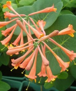 a6e972e144f26a943f6fe3e0af0d885d