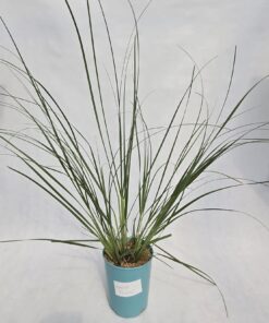 23a995786c4472163f36c932f5989b2c