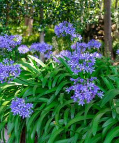 7c25b666f0f40001a4adc3d8caf6c284