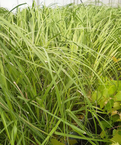 a92a88e4c6b00183bd944c97fb6fe180