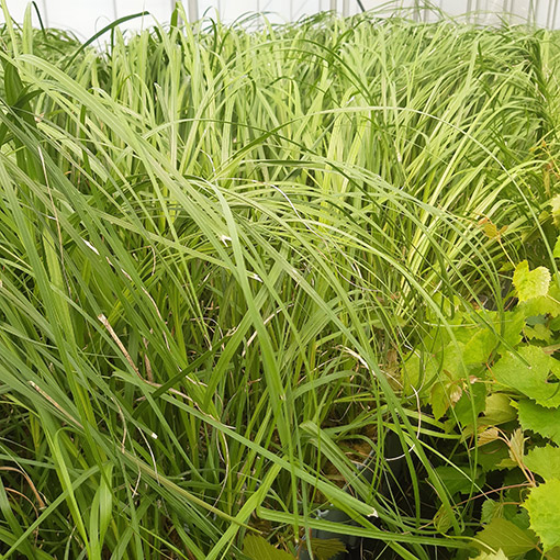 a92a88e4c6b00183bd944c97fb6fe180