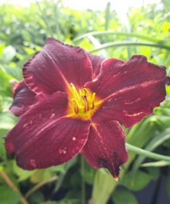 692deed11963af3ecbeafa404fa0552f