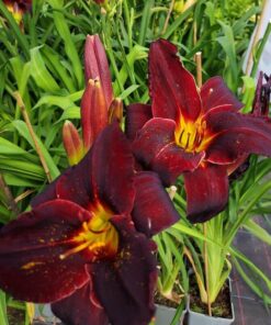 b1facc99db7f8272555db8d834340997