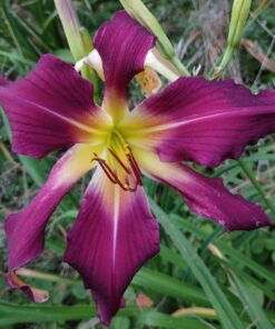 c8c139a9f418a1d487805a1305473cf6