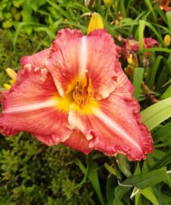 73a6fc8be58e10af8307adcf14758b04