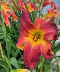 126badbd1d3326aa2597ffe68e3fa8cb