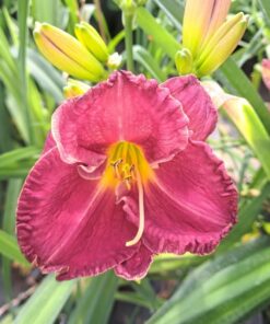 753fd6c4c7597a31f23f3361b17b729f