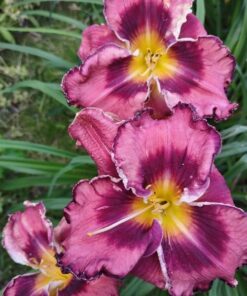 f7ca571d46a424cc810a4235d0d36594