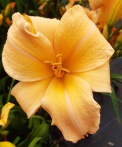 f8fd30be990eda30adbdaae7f2b1c1d0