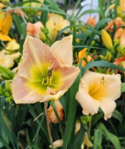 b9eb6a09ab7fa1b092513b0e47534995