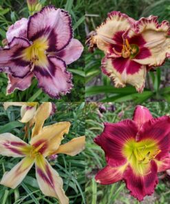 4d9bcab765814240ec8b29655da7f437