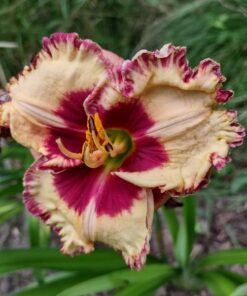 7a99eafc665d9e72541e7b7a7f2c94c4