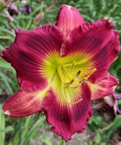 28c3ea9e4e7919ad2743e660e37d91d3