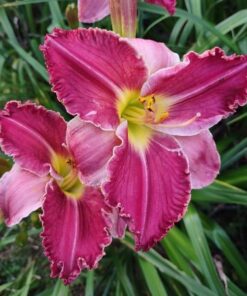 bece89d1808631192473e6a63cbf6d4d