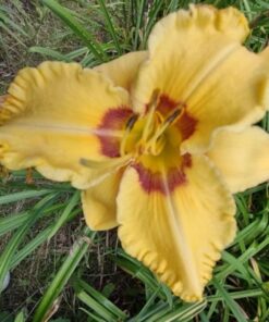 32394e60b41676c06cfd0015f8f8961a