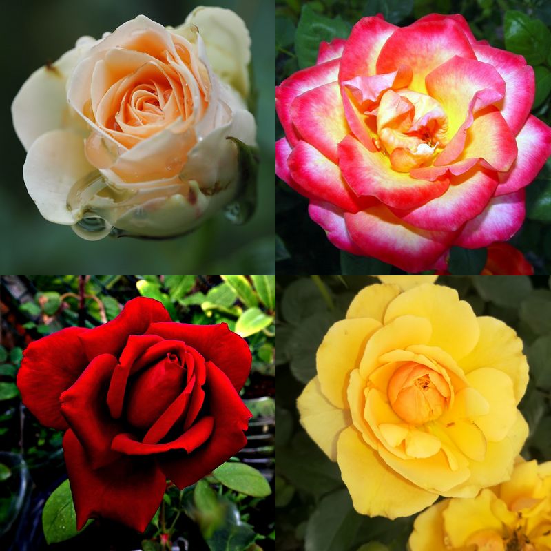 64d6640ed68fd976900b880f5cf92f0b