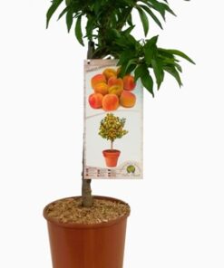 35ab2b7f9dc1af9f3855141bc858c4e1