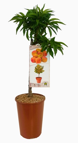 35ab2b7f9dc1af9f3855141bc858c4e1