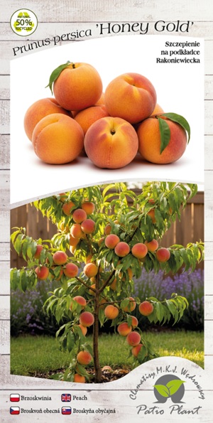 b86803a09b97aa771c0dad05b7f6b31f