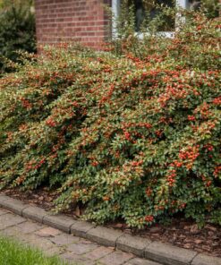 1f8cfdb8e775708102ea4401d027a547