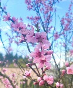 457e6d352344b101c048bbf5265ee688