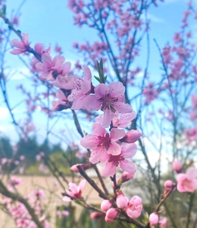 457e6d352344b101c048bbf5265ee688