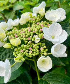 93553aa802410812c3a0641e1816e632