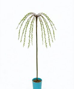 7d34757e84d822b3bc4aca203aaf9d53