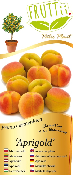 ad4a20674804fffc5c7f14f679b3cd54